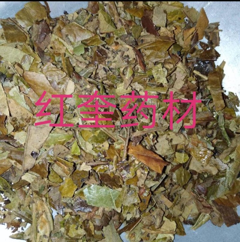 枇杷叶，炙芭叶密炙芭叶货好，欢迎下单