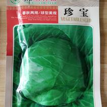 【精】郑研珍宝甘蓝种子10g，叶球紧实，耐裂，叶色深绿