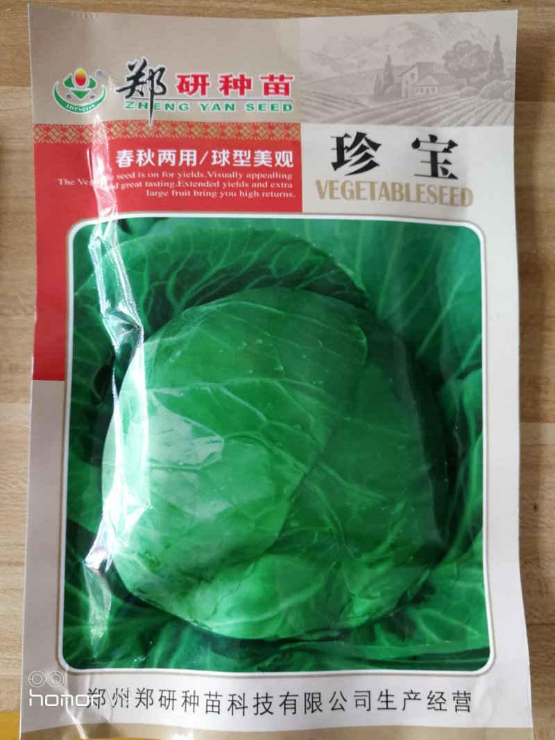 【精】郑研珍宝甘蓝种子10g，叶球紧实，耐裂，叶色深绿