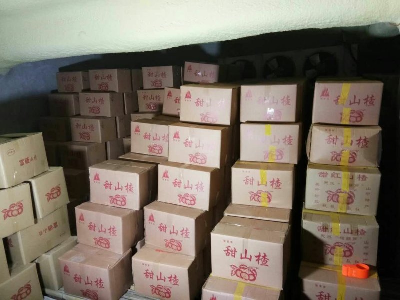 甜红子山楂甜山楂野生小山楂