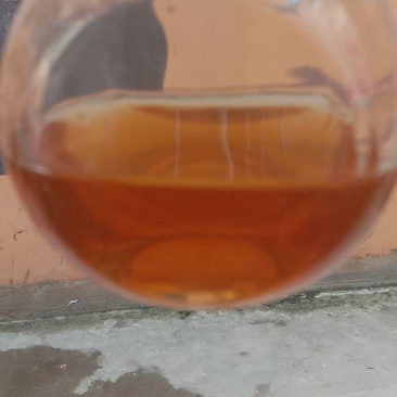 野生岩蜂蜜