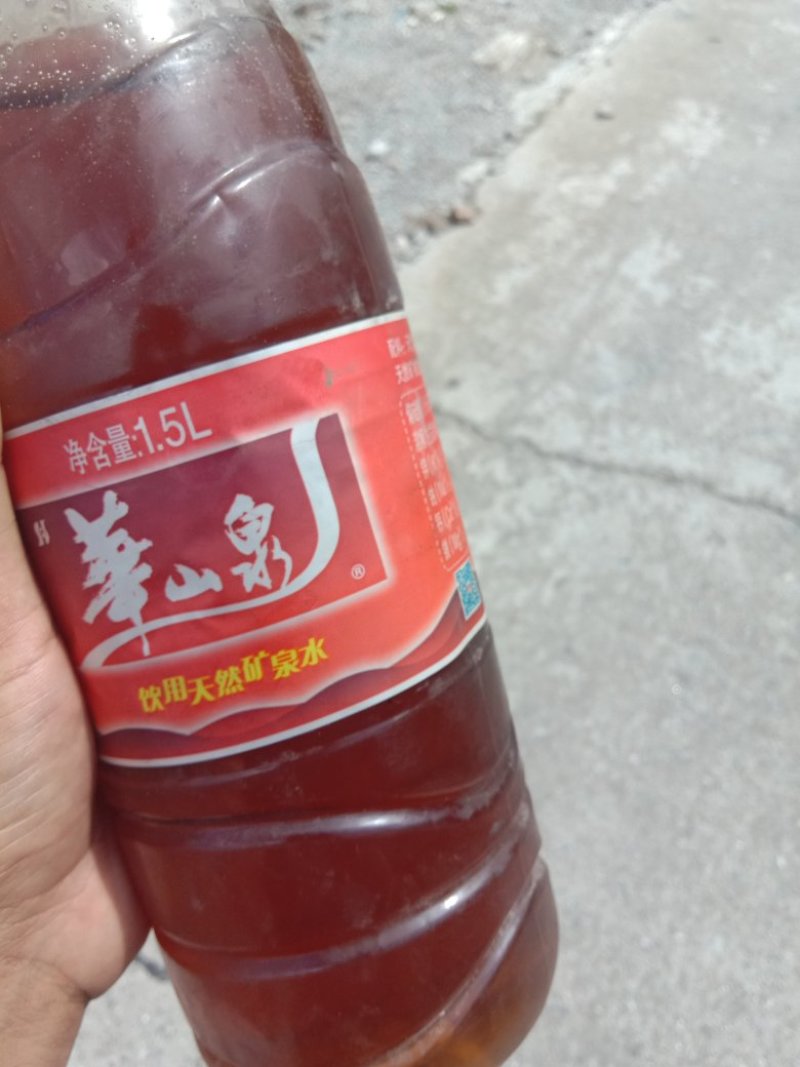 野生岩蜂蜜