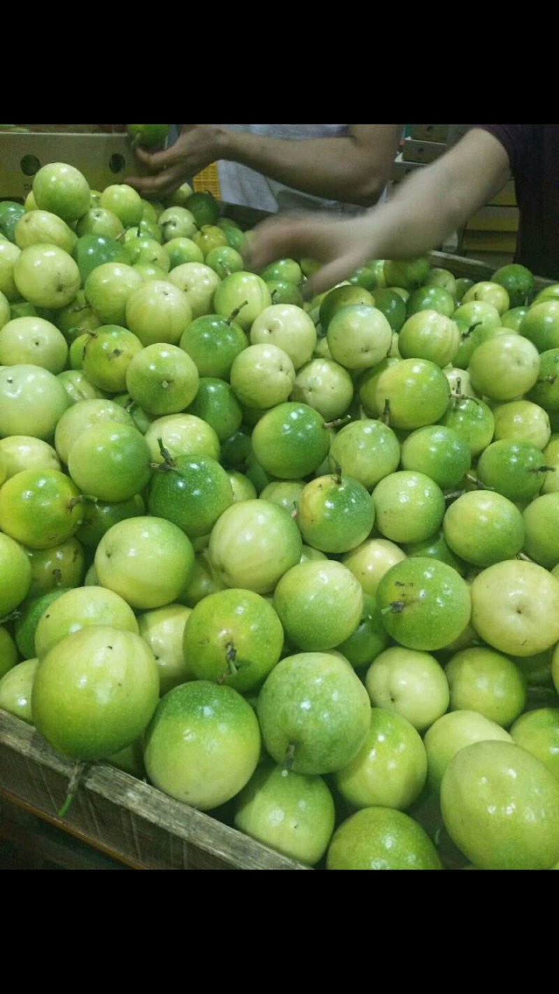 黄金百香果
