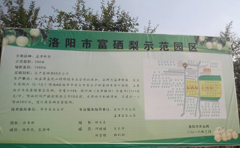 孟津酥梨。种植历史悠久，高山果园，香甜酥脆，