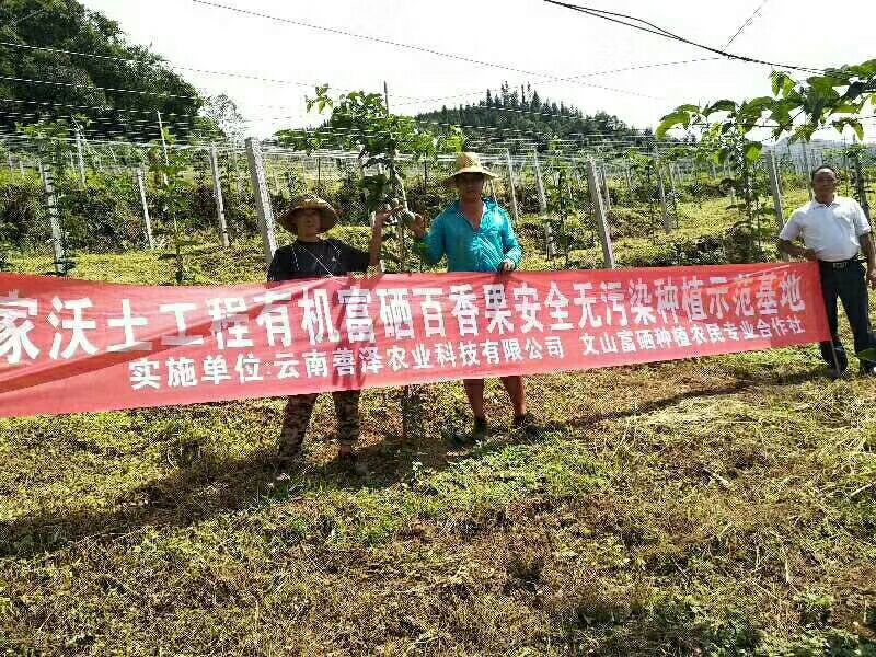 百香果