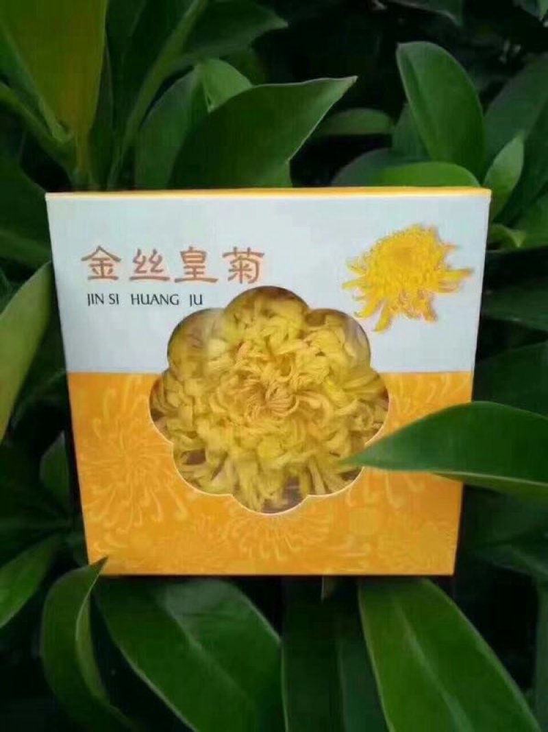 金丝皇菊茶