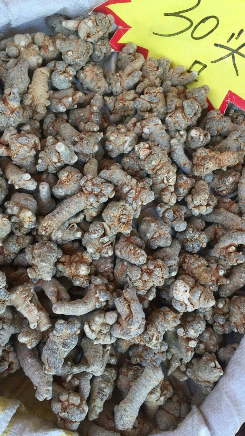 水洗滑头三七30头
