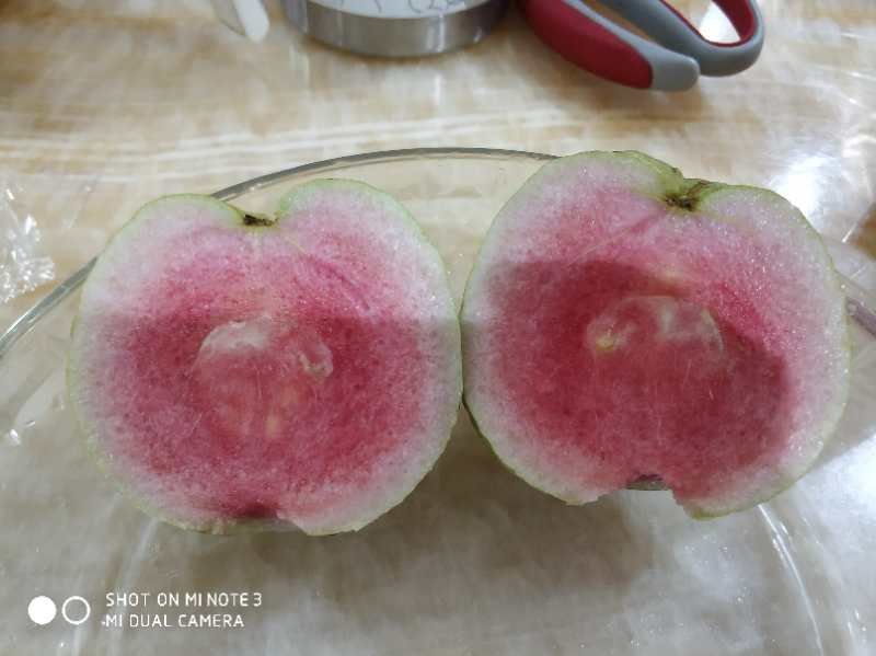 红宝石芭乐