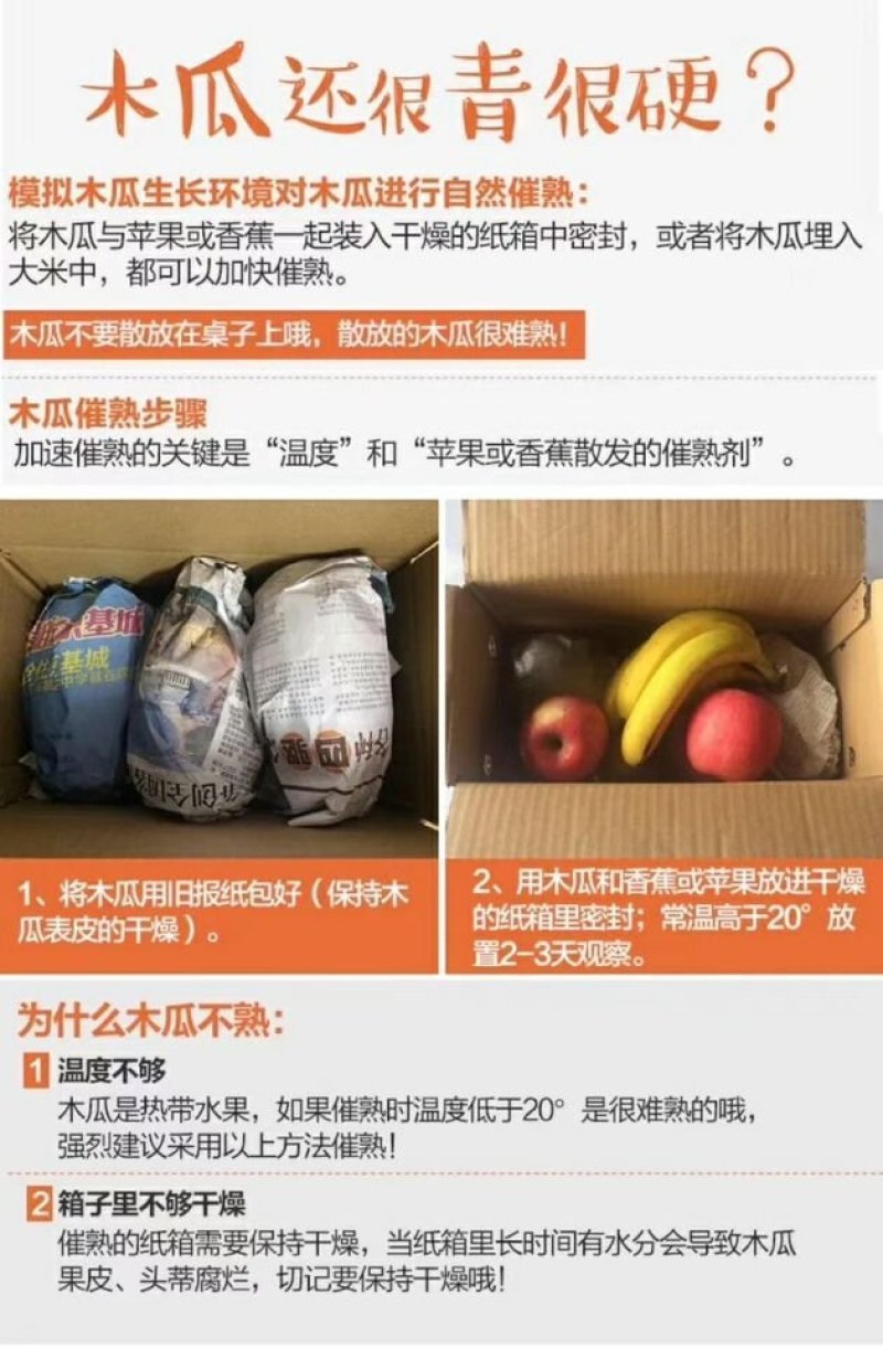 【包邮】云南红心牛奶木瓜新鲜热带水果木瓜