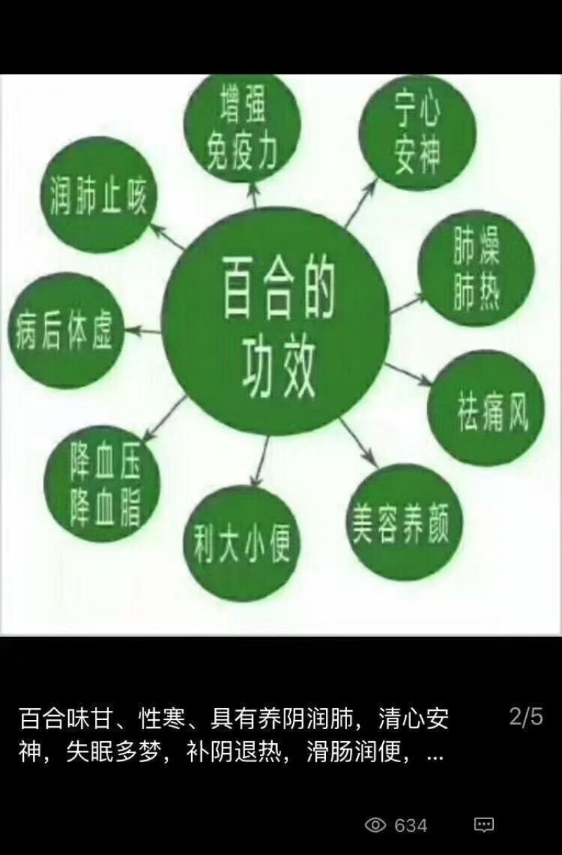 鲜百合