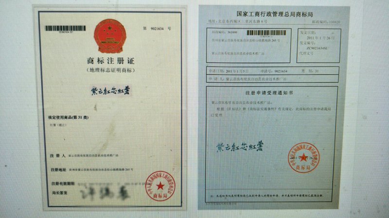 贵州紫云红心红薯地瓜一件5斤包邮想要的赶快联系