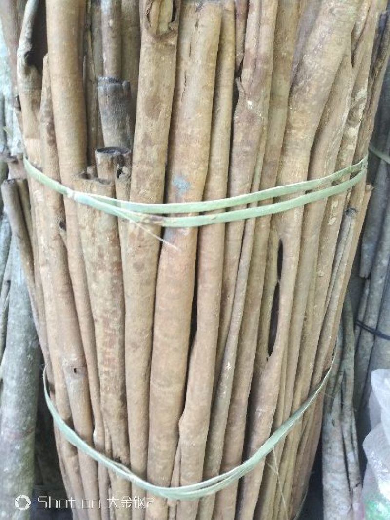 杜仲，厚朴