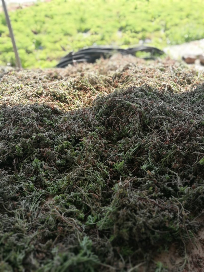 云南香油做化妆品用高级油，纯香料草提炼无任何化工