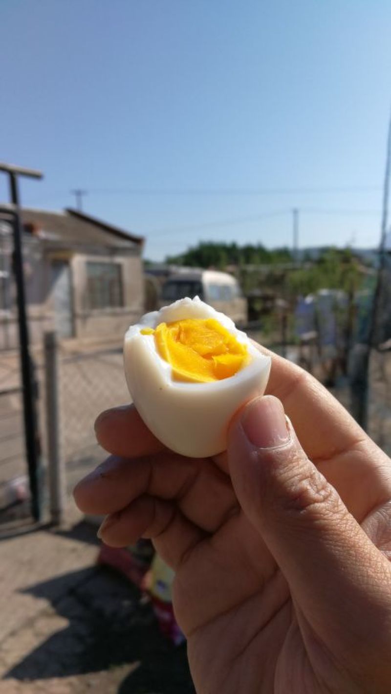 正宗大庆农场土鸡蛋散养溜达鸡蛋