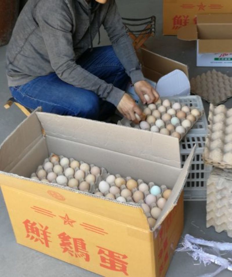 正宗大庆农场土鸡蛋散养溜达鸡蛋