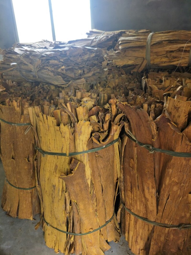 黄柏，板皮，货干，两面黄，实惠