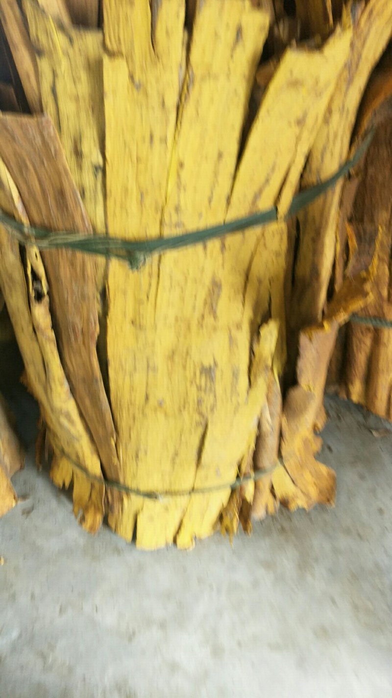 黄柏，板皮，货干，两面黄，实惠