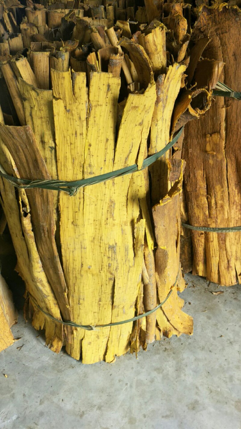 黄柏，板皮，货干，两面黄，实惠