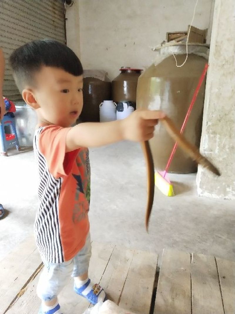 富硒藤茶