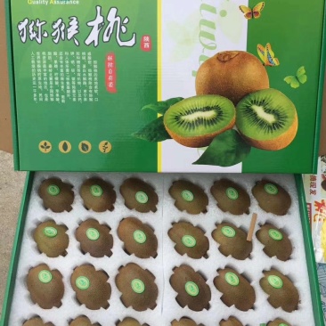 周至猕胡桃