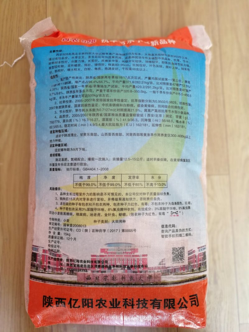 西农928旱地大田小麦种子高产面粉品质高稳产