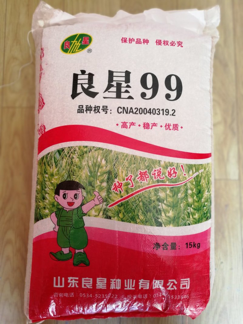 良星99大田小麦种子30斤/袋抗寒抗旱产量高