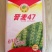 晋麦47旱地大田种子吃面粉口感很好的品种国审