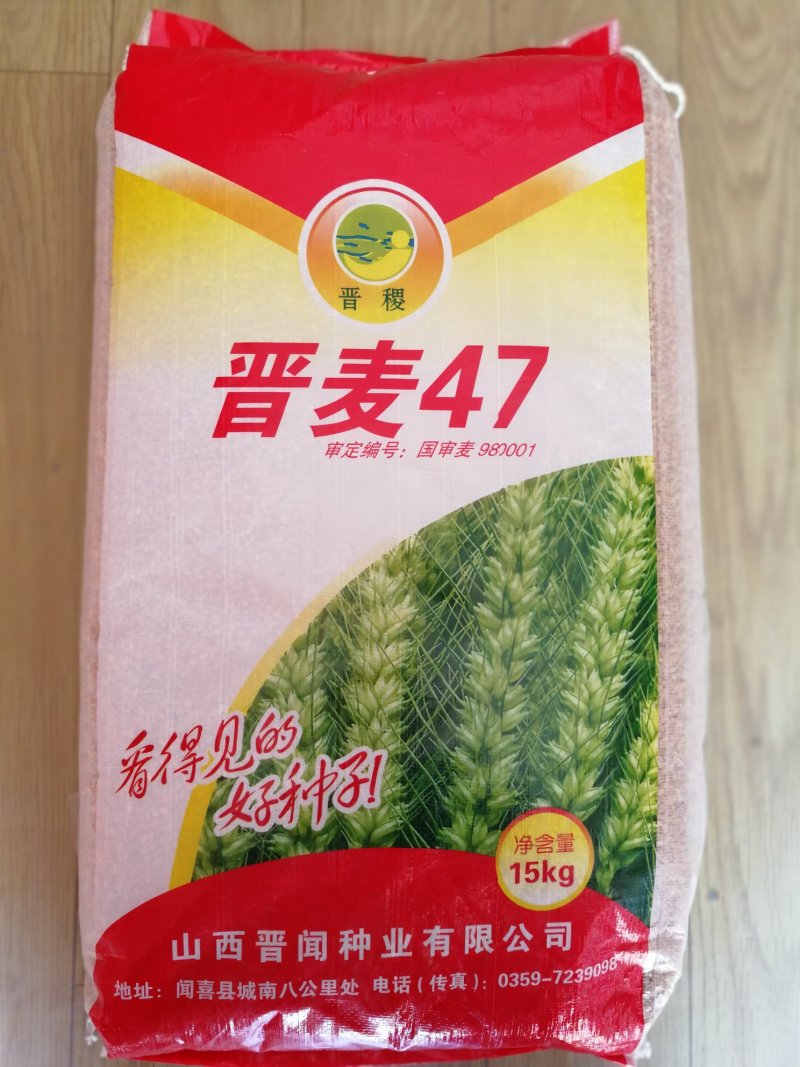 晋麦47旱地大田种子吃面粉口感很好的品种国审