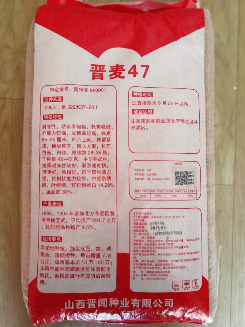 晋麦47旱地大田种子吃面粉口感很好的品种国审