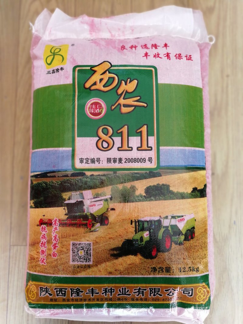 西农811旱地小麦产量高西北农林科技大学研制