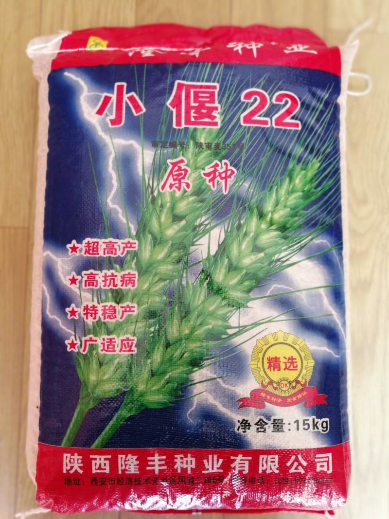 小偃22大田小麦种子高产抗病适应广