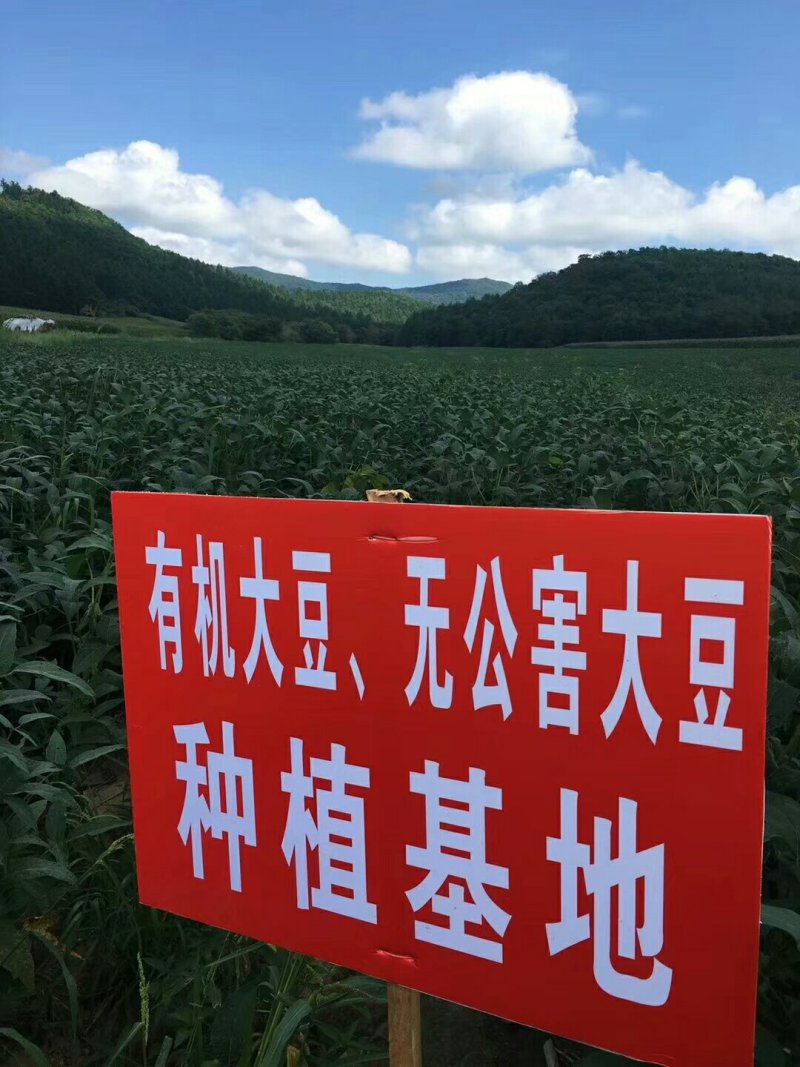 黑龙江手工冻豆腐