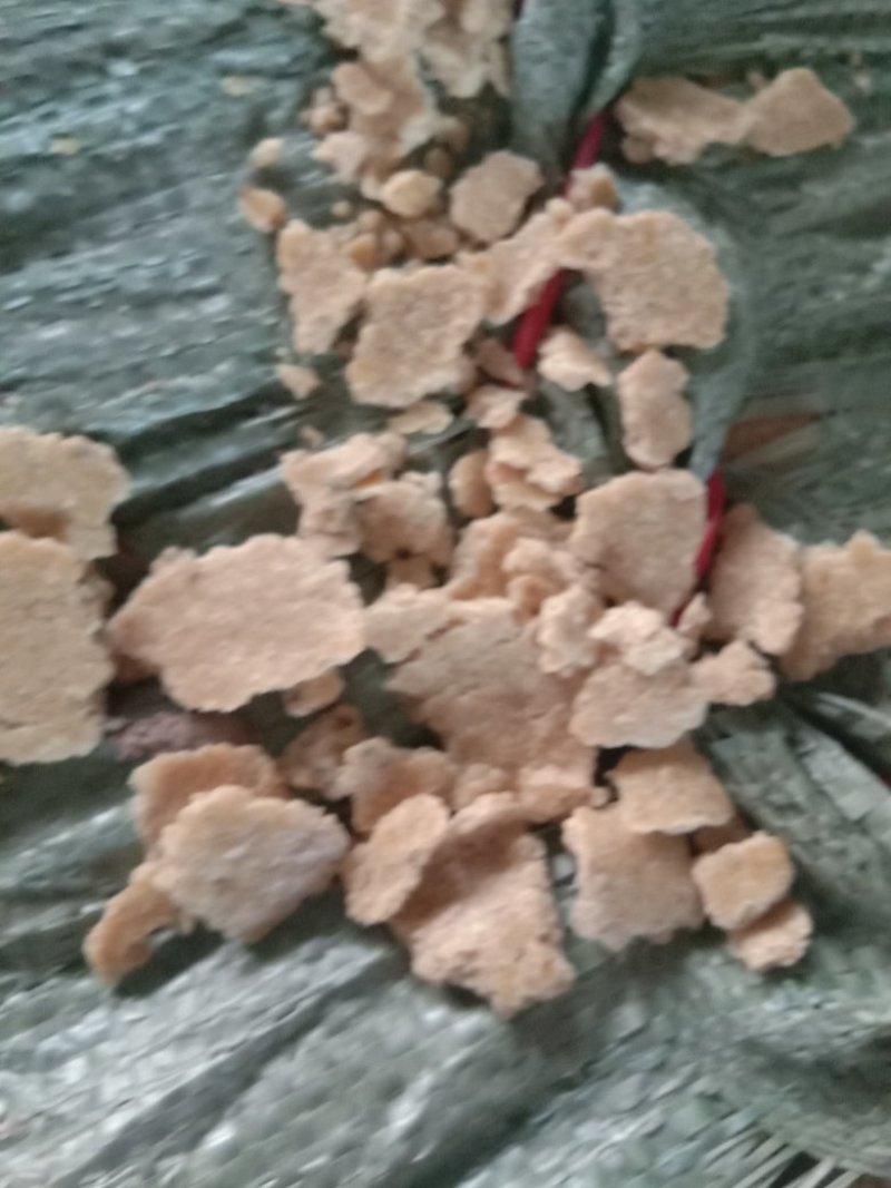 豆饼
