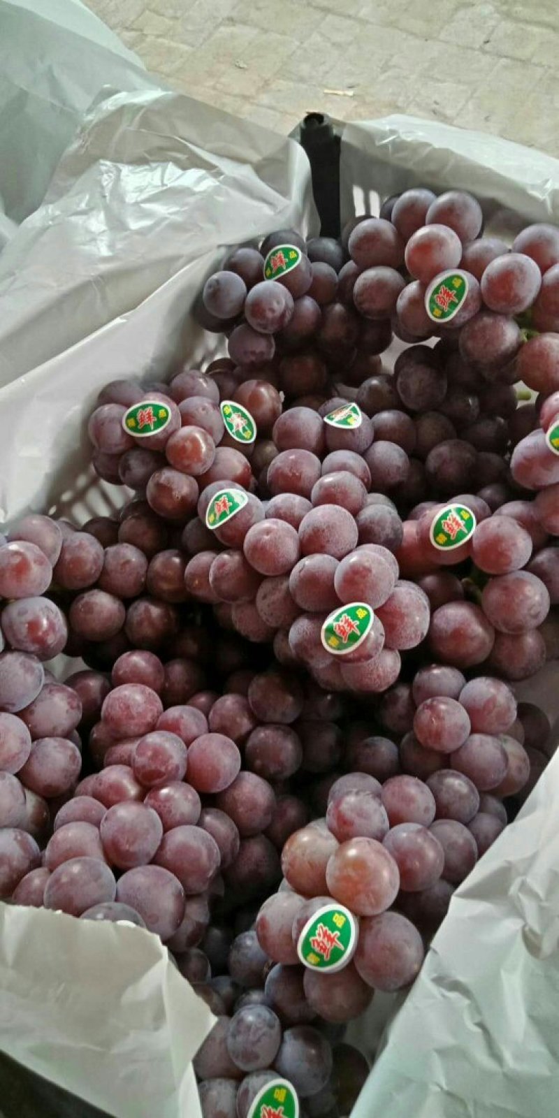 大荔县红提葡萄批发红提葡萄产地