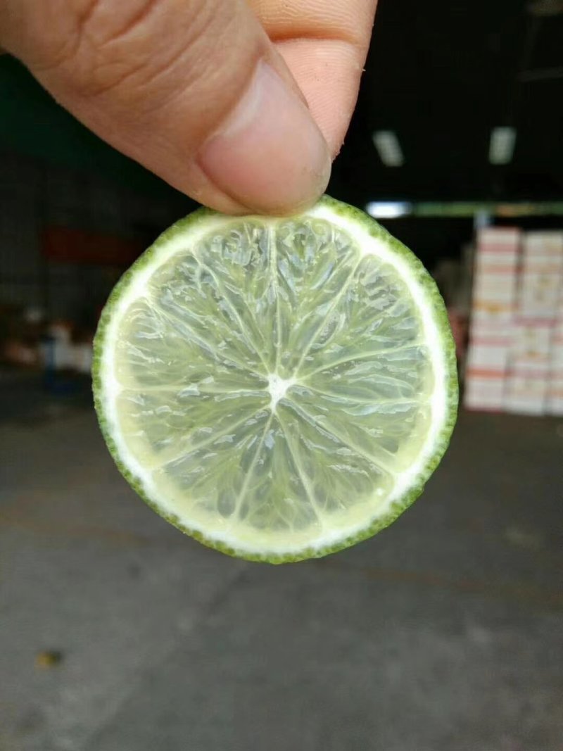 越南无籽青柠檬，无籽，皮簿，汁多，五斤一箱