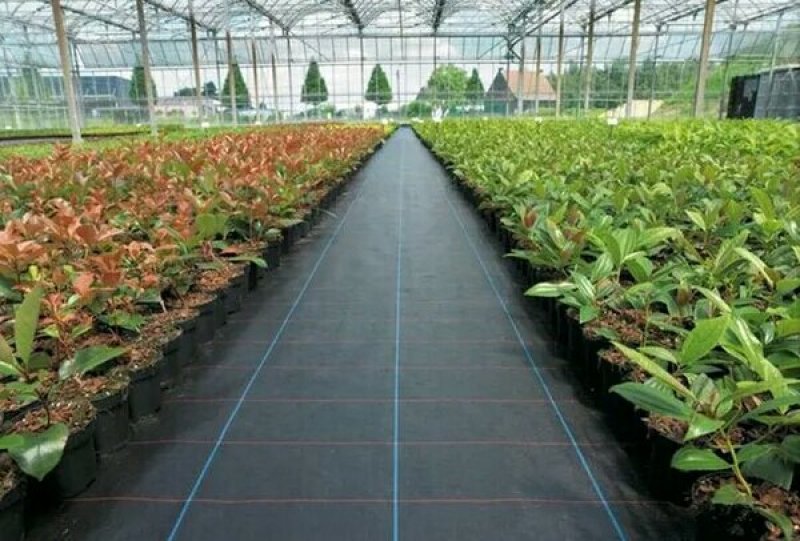 除草布直销防草布除草布耐用农用园艺果园果树大棚地布生态防
