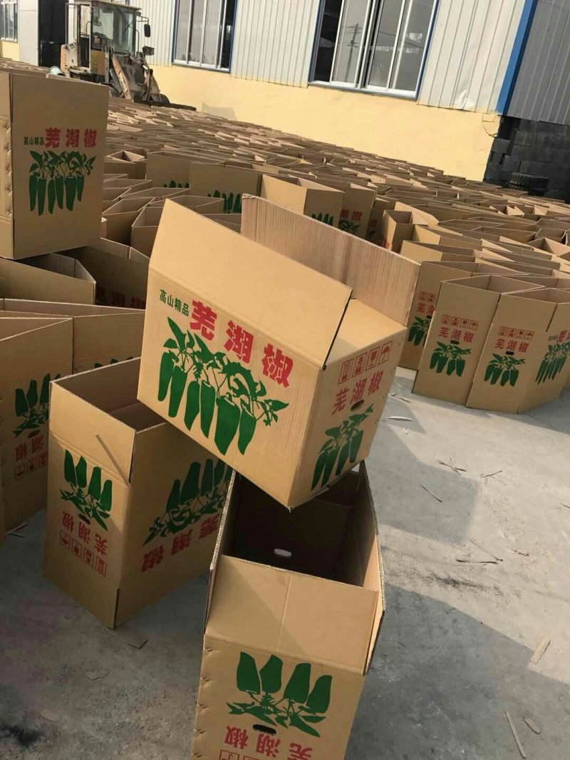 纸箱