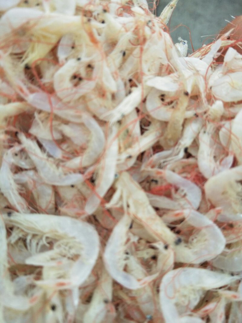 虾皮，海米，大虾，红虾，鱼类直销
