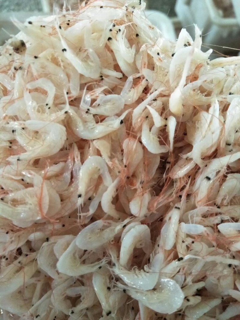 虾皮，海米，大虾，红虾，鱼类直销