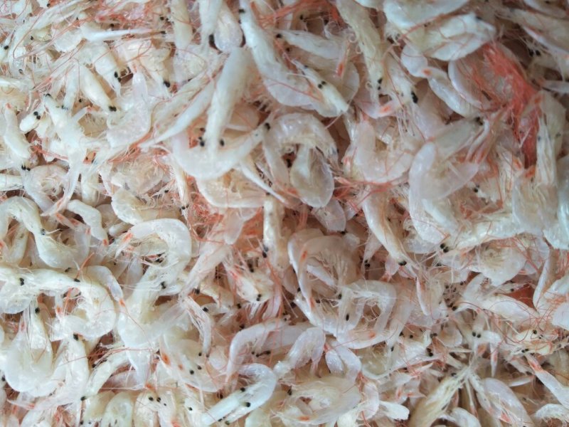 虾皮，海米，大虾，红虾，鱼类直销