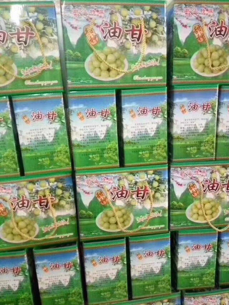 【现货直发】广东牛柑果，药食亮用清甜回甘，现摘现发全国供应