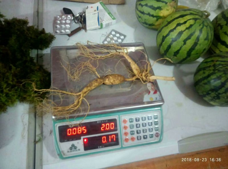 什么样的都有