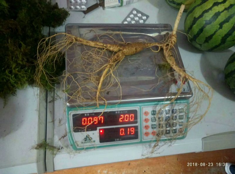 什么样的都有