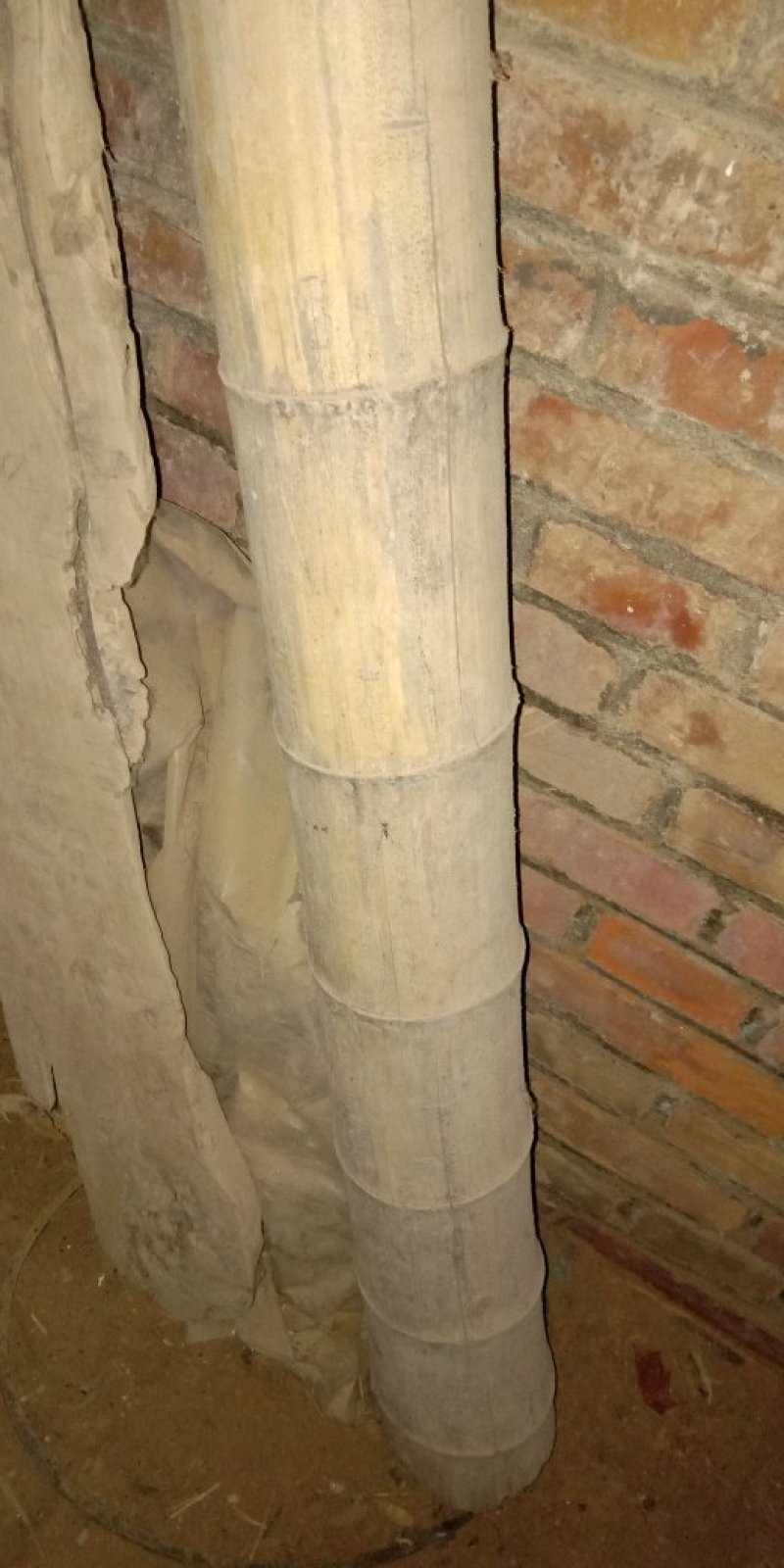 粗长竹竿