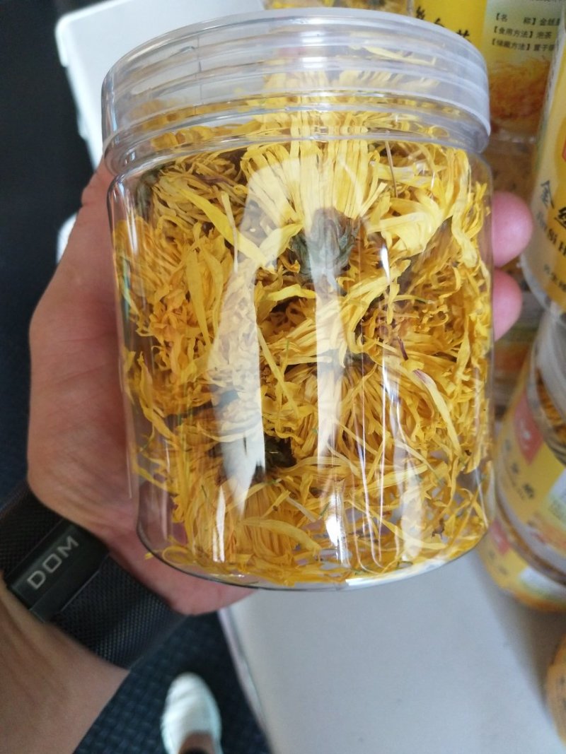 金丝皇菊