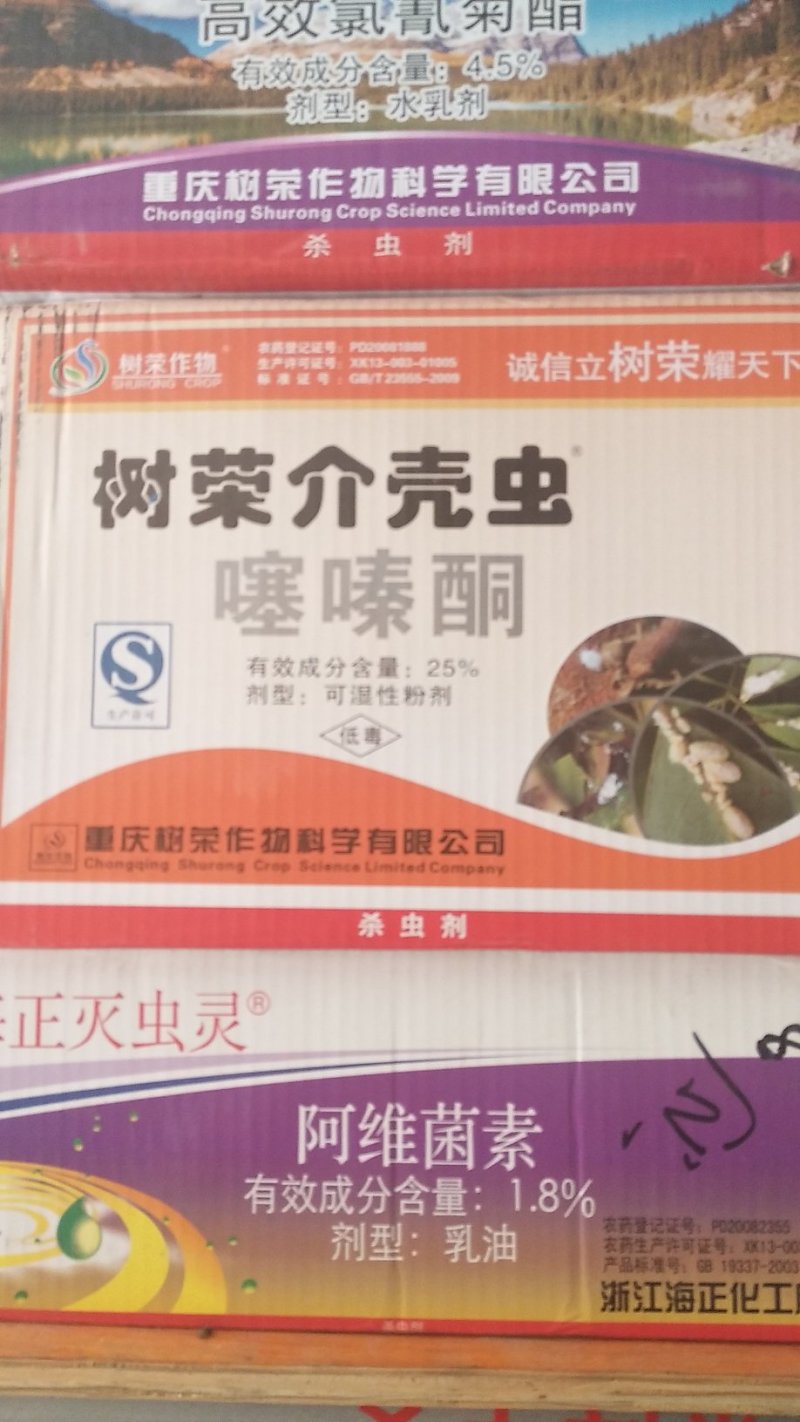 树荣蚧壳虫噻嗪酮25%蚧壳虫飞虱小叶绿蝉杀虫剂农药