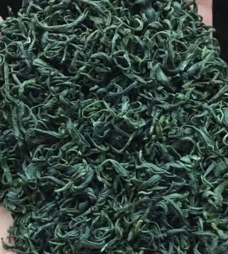 鞠坤茶业~松阳绿茶