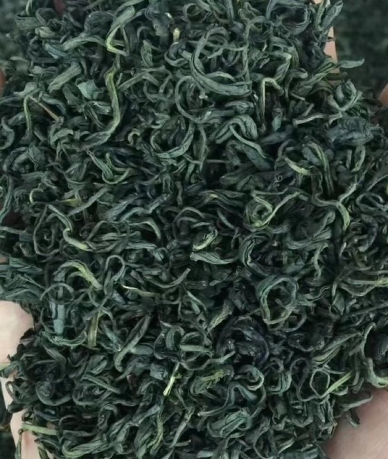 鞠坤茶业~松阳绿茶
