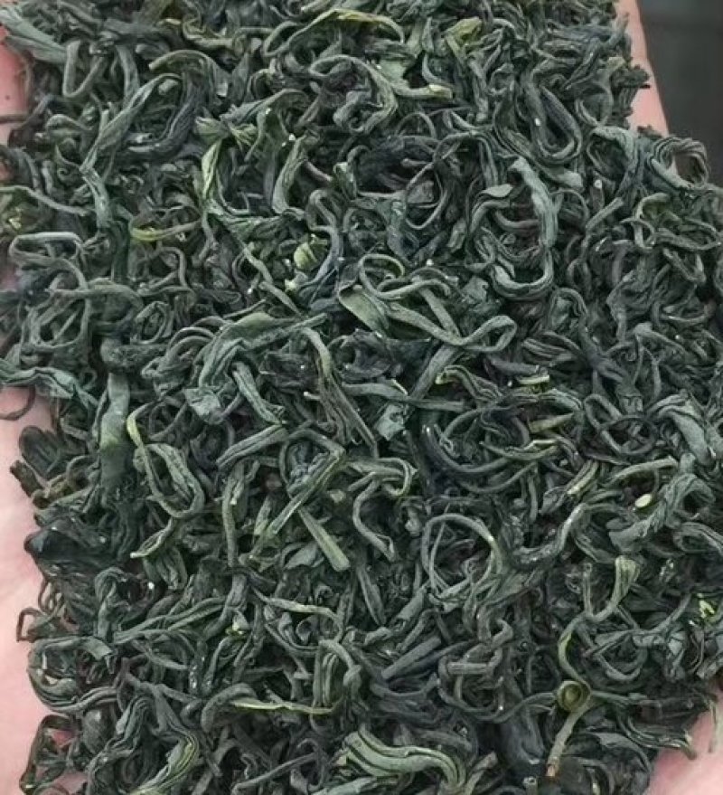 鞠坤茶业~松阳绿茶