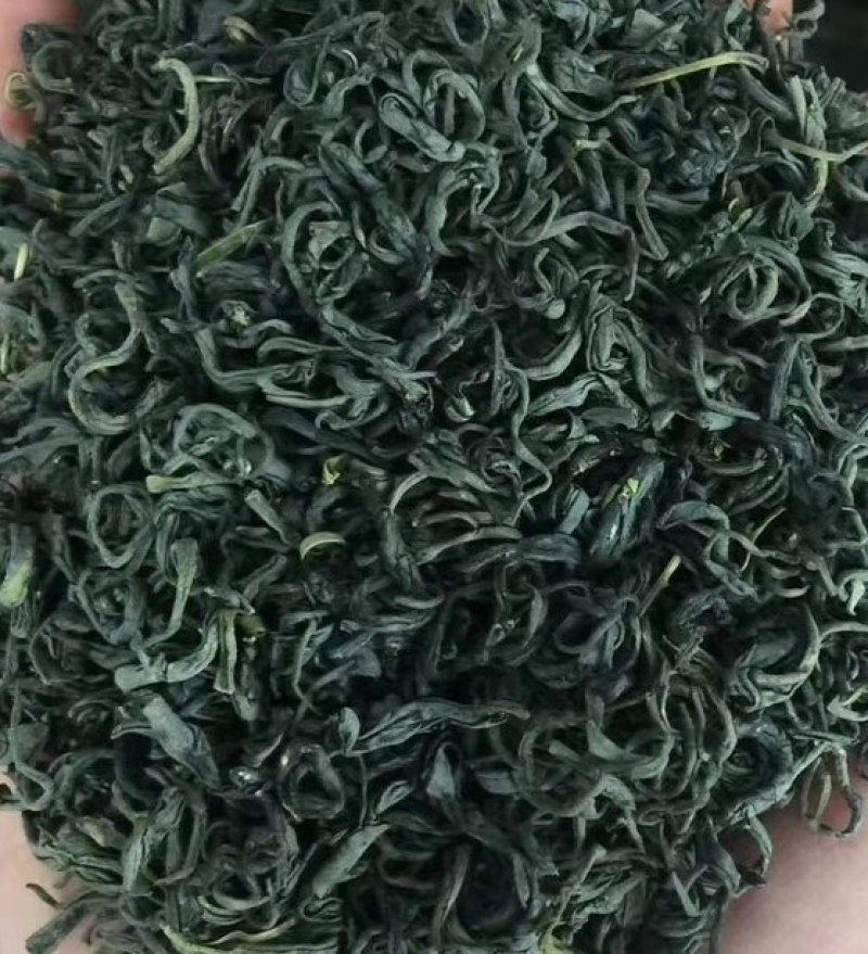 鞠坤茶业~松阳绿茶
